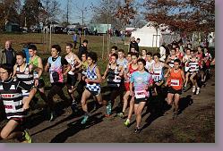 Begles 15.12.13 01 546 * 679 x 453 * (175KB)